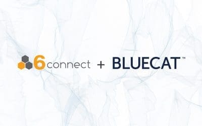 6connect and BlueCat join forces to solve the multi-DDI problem